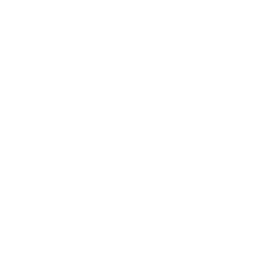 linkIcon